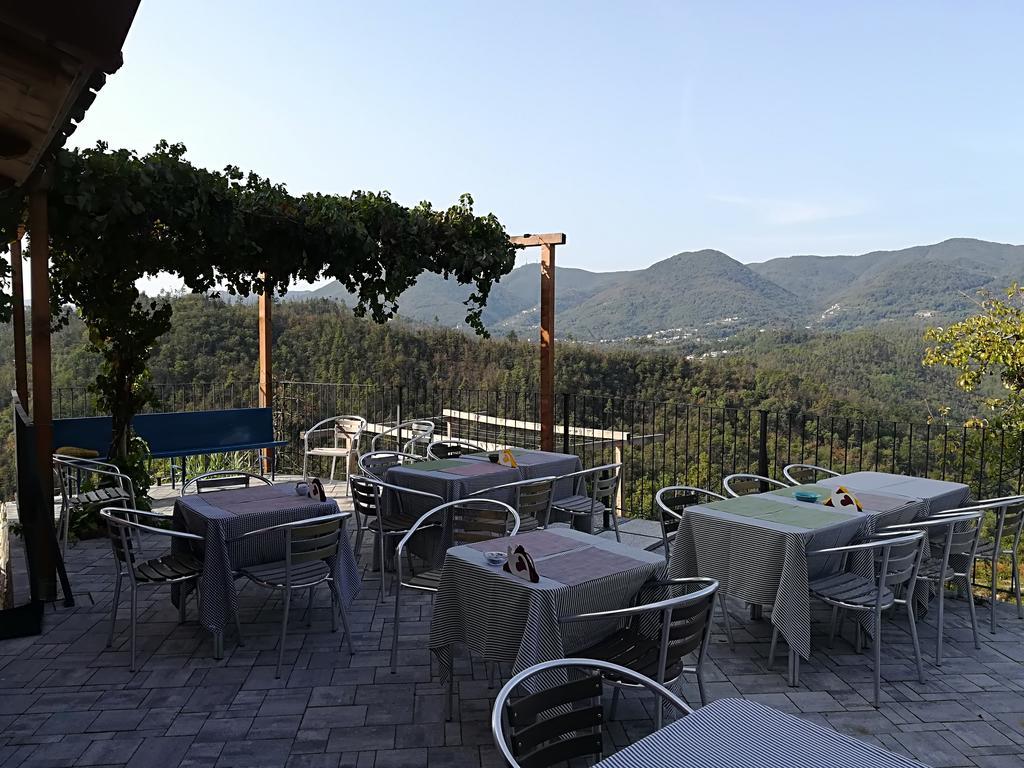 Polverara I Gelsi E I Castagni 빌라 외부 사진